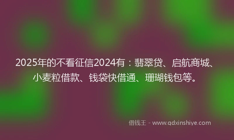 2025年的不看征信2024有：翡翠贷、启航商城、小麦粒借款、钱袋快借通、珊瑚钱包等。