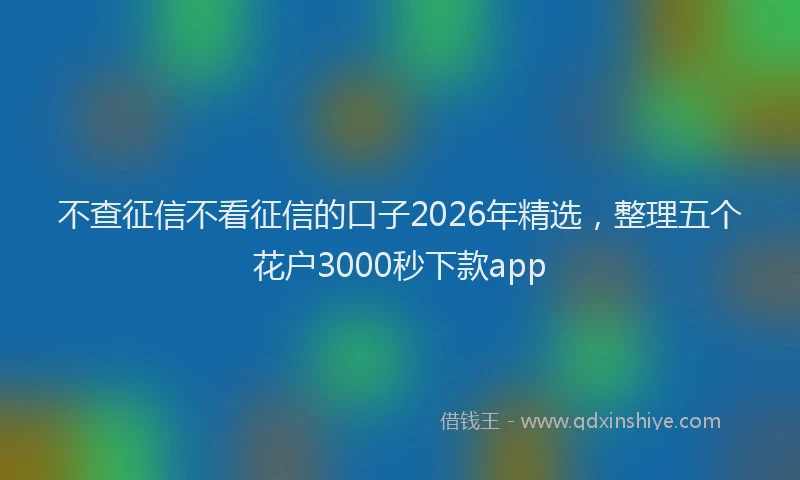 不查征信不看征信的口子2026年精选，整理五个花户3000秒下款app