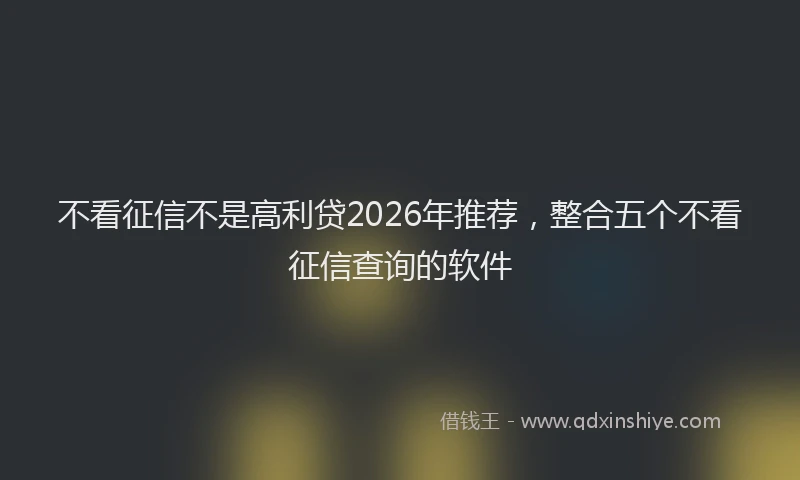 不看征信不是高利贷2026年推荐，整合五个不看征信查询的软件