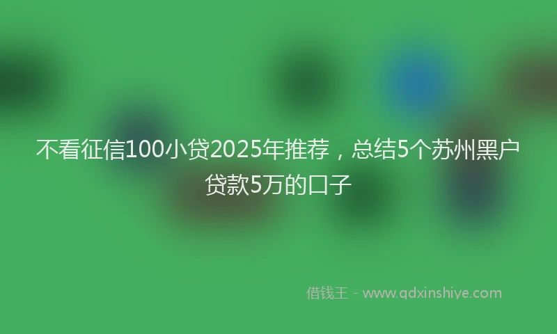 不看征信100小贷2025年推荐，总结5个苏州黑户贷款5万的口子
