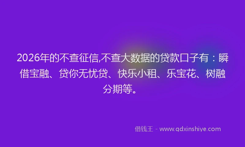 2026年的不查征信,不查大数据的贷款口子有：瞬借宝融、贷你无忧贷、快乐小租、乐宝花、树融分期等。