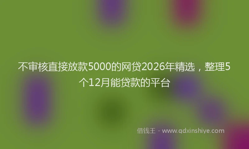 不审核直接放款5000的网贷2026年精选，整理5个12月能贷款的平台