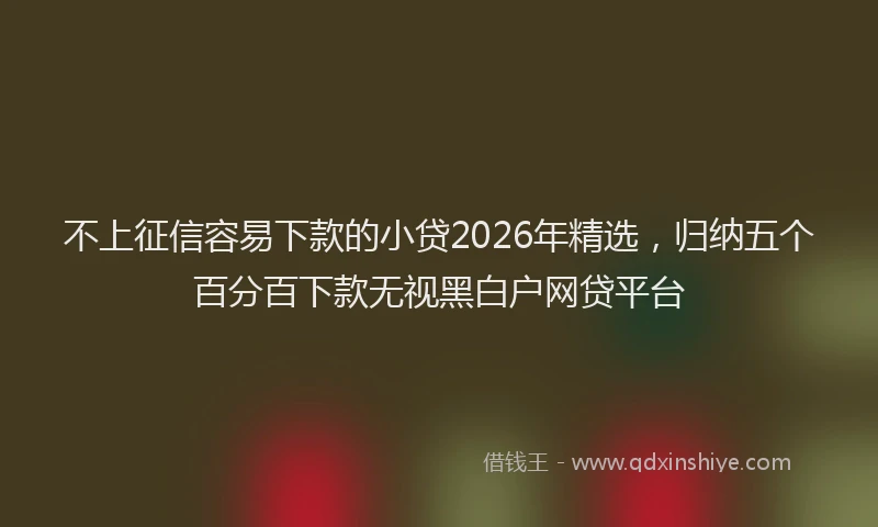 不上征信容易下款的小贷2026年精选,归纳五个百分百下款无视黑白户网贷平台