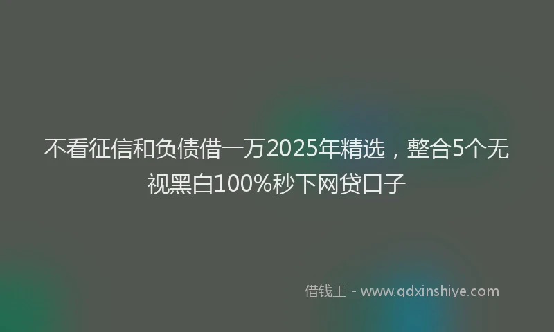 不看征信和负债借一万2025年精选,整合5个无视黑白100%秒下网贷口子