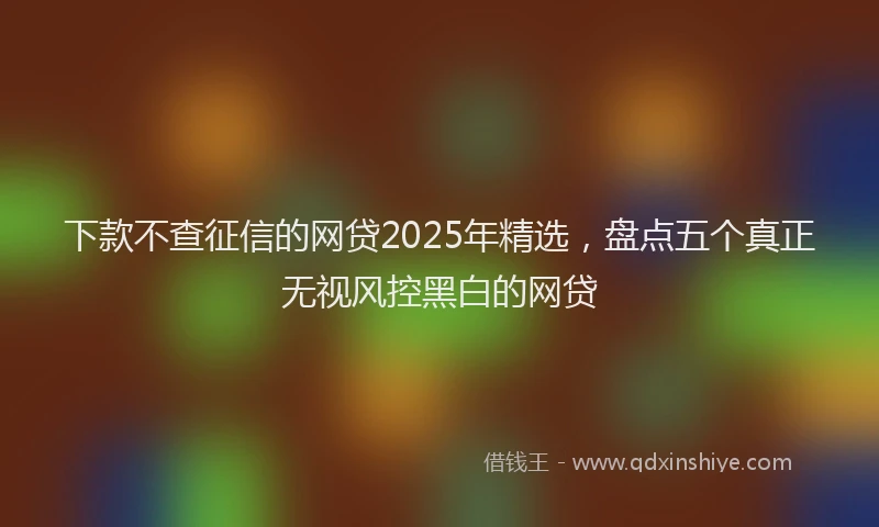 下款不查征信的网贷2025年精选，盘点五个真正无视风控黑白的网贷