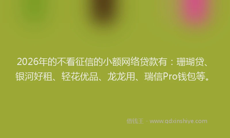 2026年的不看征信的小额网络贷款有：珊瑚贷、银河好租、轻花优品、龙龙用、瑞信Pro钱包等。