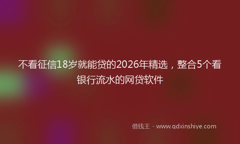 不看征信18岁就能贷的2026年精选，整合5个看银行流水的网贷软件
