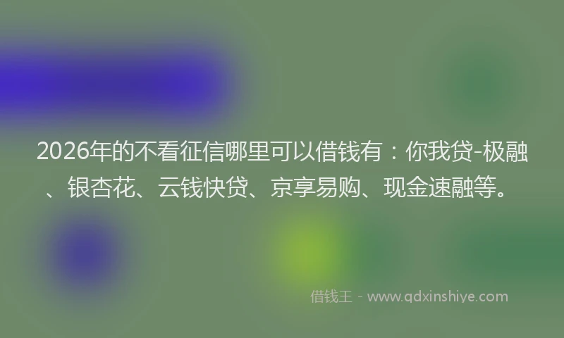 2026年的不看征信哪里可以借钱有：你我贷-极融、银杏花、云钱快贷、京享易购、现金速融等。
