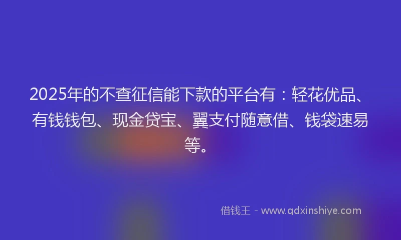 2025年的不查征信能下款的平台有：轻花优品、有钱钱包、现金贷宝、翼支付随意借、钱袋速易等。
