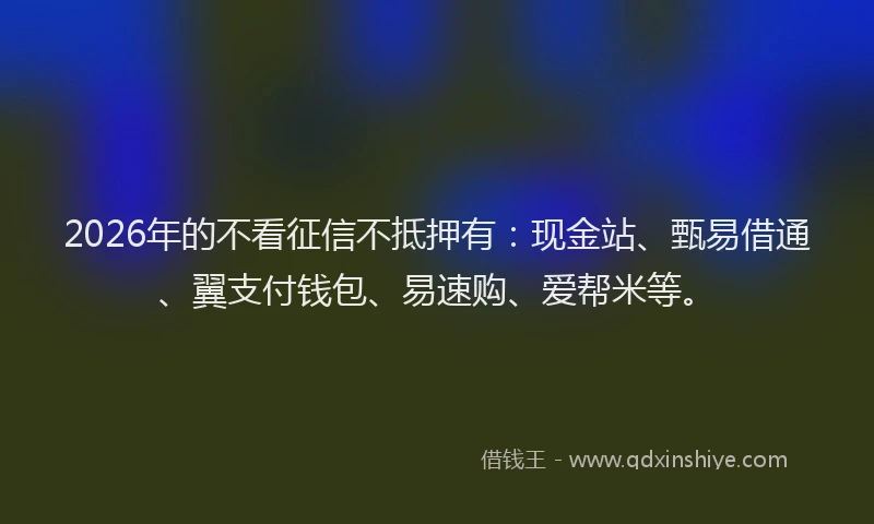 2026年的不看征信不抵押有：现金站、甄易借通、翼支付钱包、易速购、爱帮米等。