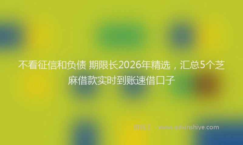 不看征信和负债 期限长2026年精选,汇总5个芝麻借款实时到账速借口子
