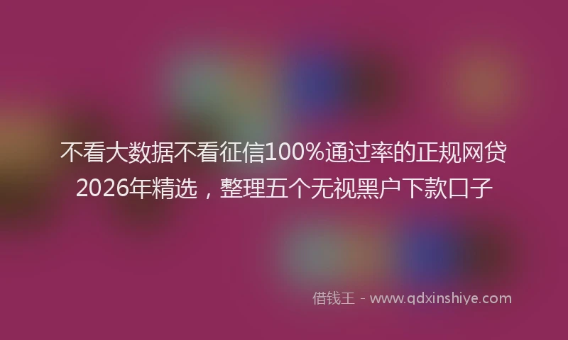 不看大数据不看征信100%通过率的正规网贷2026年精选，整理五个无视黑户下款口子