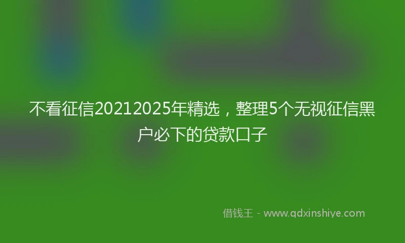 不看征信20212025年精选，整理5个无视征信黑户必下的贷款口子