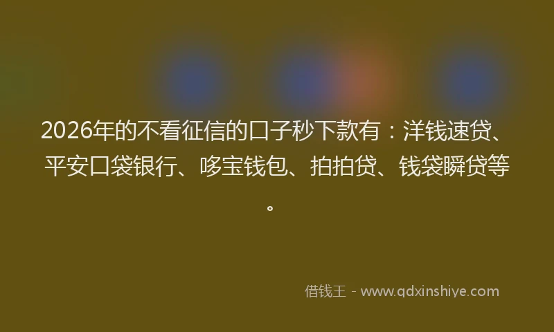 2026年的不看征信的口子秒下款有:洋钱速贷、平安口袋银行、哆宝钱包、拍拍贷、钱袋瞬贷等。