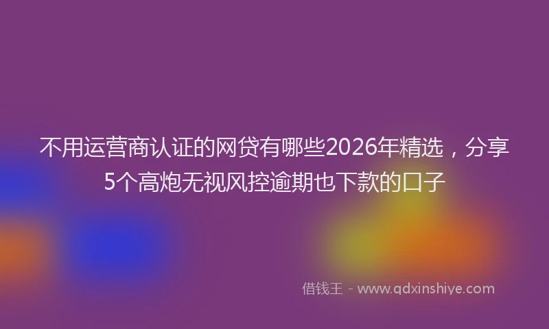 不用运营商认证的网贷有哪些2026年精选，分享5个高炮无视风控逾期也下款的口子
