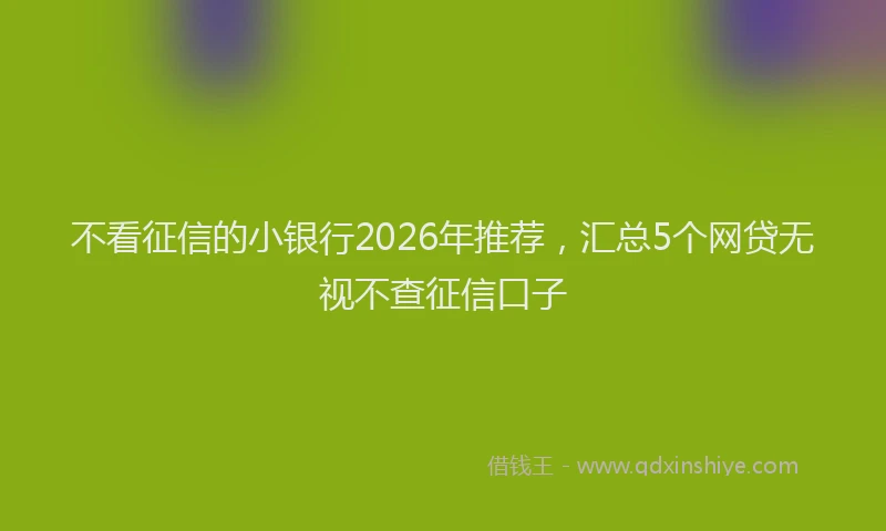 不看征信的小银行2026年推荐，汇总5个网贷无视不查征信口子