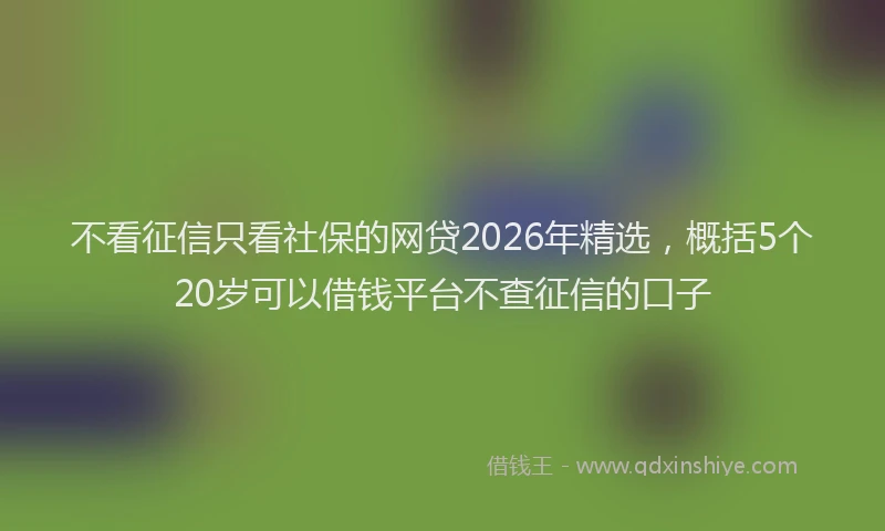不看征信只看社保的网贷2026年精选，概括5个20岁可以借钱平台不查征信的口子