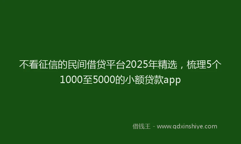 不看征信的民间借贷平台2025年精选,梳理5个1000至5000的小额贷款app