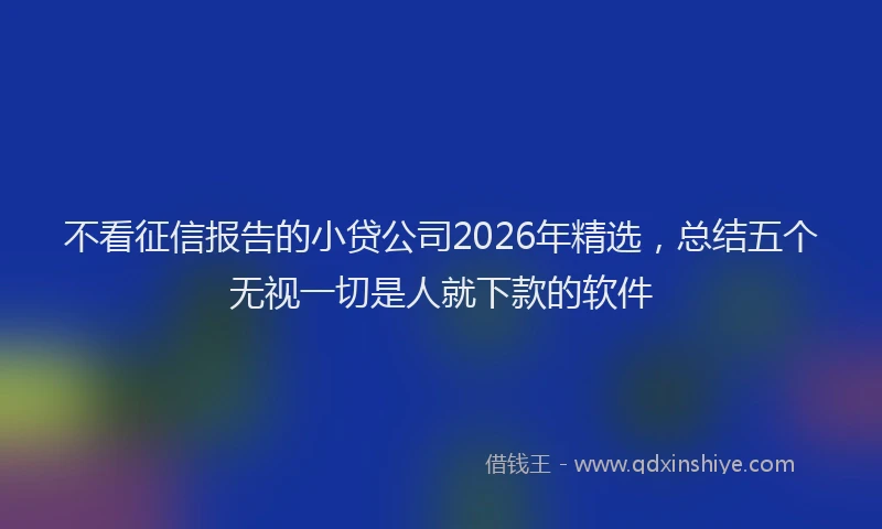 不看征信报告的小贷公司2026年精选，总结五个无视一切是人就下款的软件