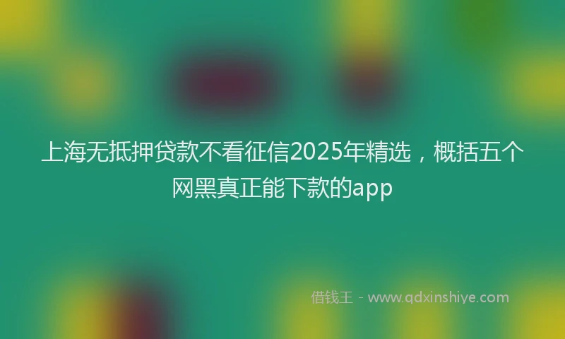 上海无抵押贷款不看征信2025年精选,概括五个网黑真正能下款的app