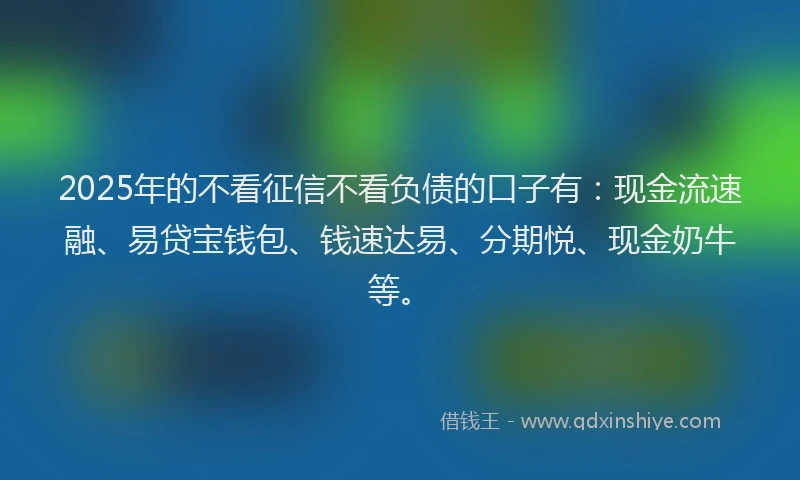 2025年的不看征信不看负债的口子有：现金流速融、易贷宝钱包、钱速达易、分期悦、现金奶牛等。