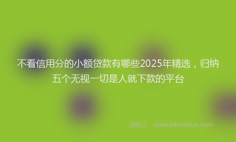 不看信用分的小额贷款有哪些2025年精选,归纳五个无视一切是人就下款的平台