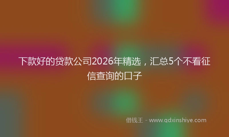 下款好的贷款公司2026年精选，汇总5个不看征信查询的口子