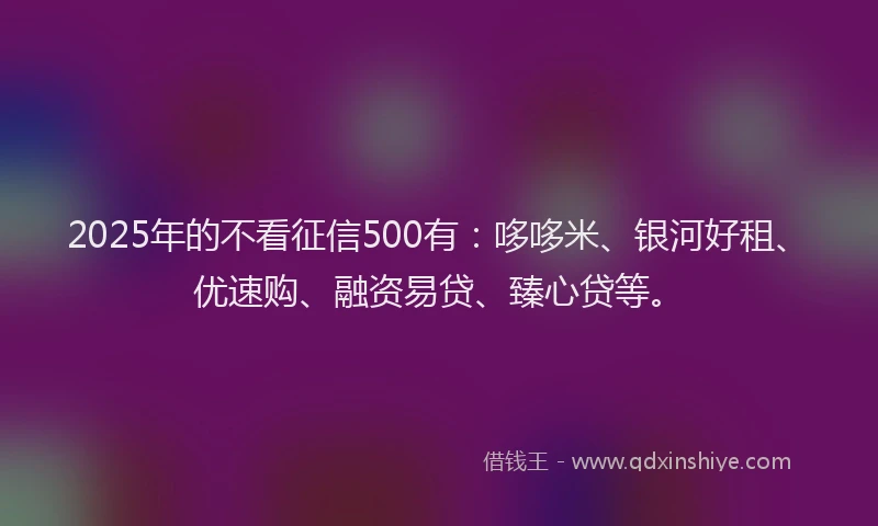 2025年的不看征信500有：哆哆米、银河好租、优速购、融资易贷、臻心贷等。