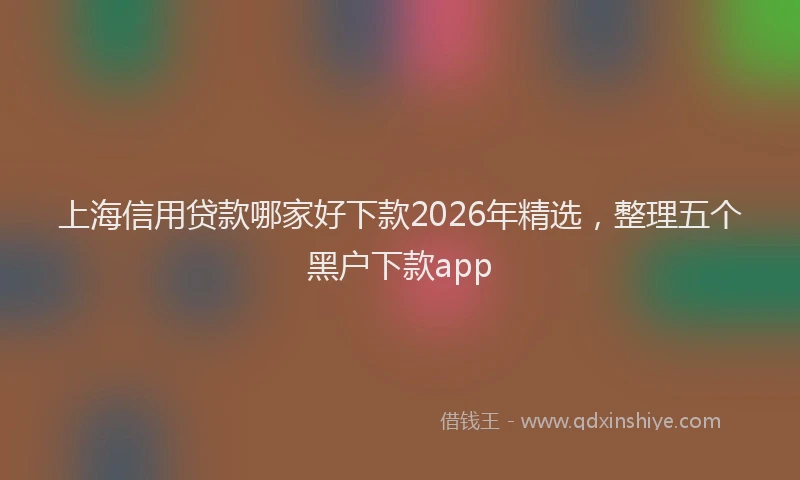 上海信用贷款哪家好下款2026年精选，整理五个黑户下款app