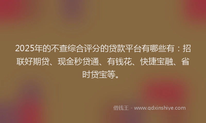 2025年的不查综合评分的贷款平台有哪些有：招联好期贷、现金秒贷通、有钱花、快捷宝融、省时贷宝等。
