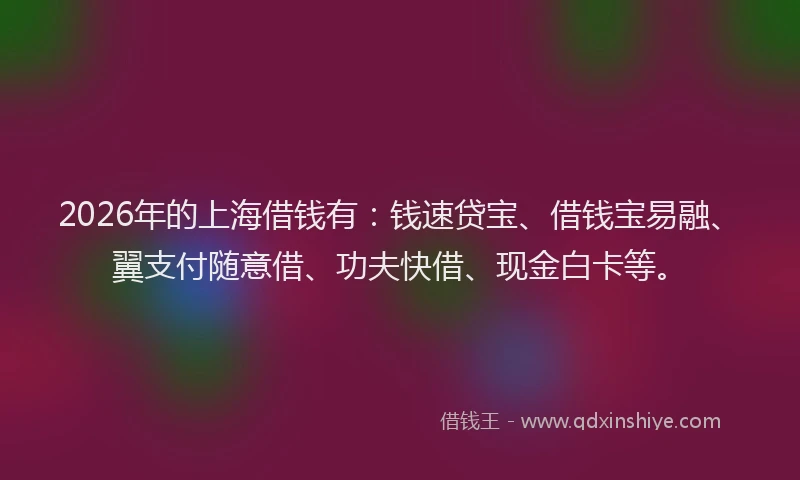 2026年的上海借钱有：钱速贷宝、借钱宝易融、翼支付随意借、功夫快借、现金白卡等。