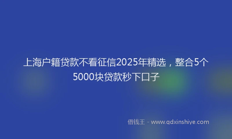 上海户籍贷款不看征信2025年精选，整合5个5000块贷款秒下口子