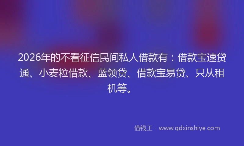 2026年的不看征信民间私人借款有：借款宝速贷通、小麦粒借款、蓝领贷、借款宝易贷、只从租机等。
