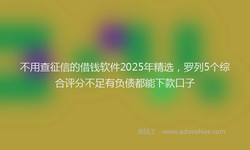 不用查征信的借钱软件2025年精选，罗列5个综合评分不足有负债都能下款口子