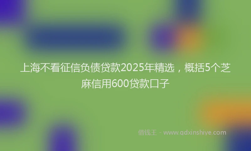 上海不看征信负债贷款2025年精选，概括5个芝麻信用600贷款口子