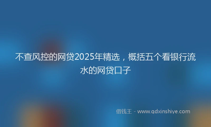 不查风控的网贷2025年精选，概括五个看银行流水的网贷口子