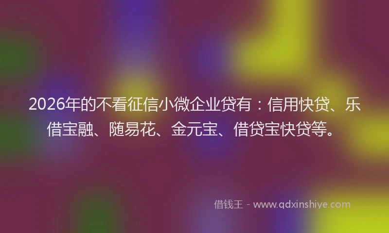 2026年的不看征信小微企业贷有：信用快贷、乐借宝融、随易花、金元宝、借贷宝快贷等。