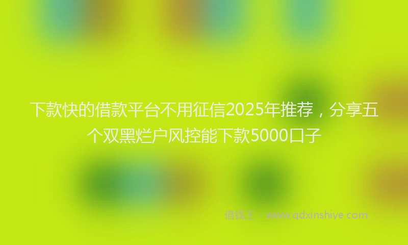 下款快的借款平台不用征信2025年推荐，分享五个双黑烂户风控能下款5000口子