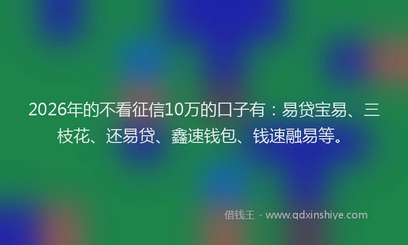 2026年的不看征信10万的口子有：易贷宝易、三枝花、还易贷、鑫速钱包、钱速融易等。