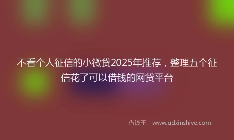 不看个人征信的小微贷2025年推荐，整理五个征信花了可以借钱的网贷平台
