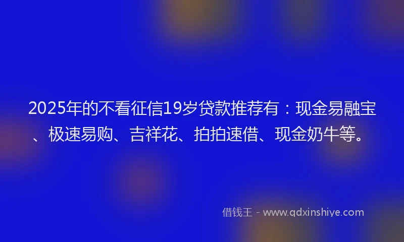 2025年的不看征信19岁贷款推荐有：现金易融宝、极速易购、吉祥花、拍拍速借、现金奶牛等。