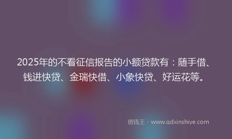 2025年的不看征信报告的小额贷款有：随手借、钱进快贷、金瑞快借、小象快贷、好运花等。