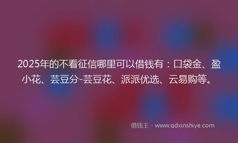 2025年的不看征信哪里可以借钱有：口袋金、盈小花、芸豆分-芸豆花、派派优选、云易购等。