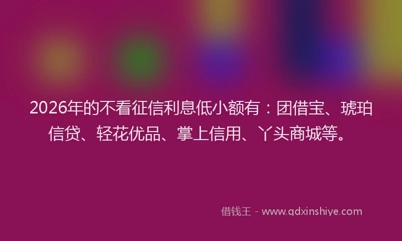 2026年的不看征信利息低小额有：团借宝、琥珀信贷、轻花优品、掌上信用、丫头商城等。