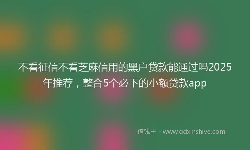 不看征信不看芝麻信用的黑户贷款能通过吗2025年推荐，整合5个必下的小额贷款app