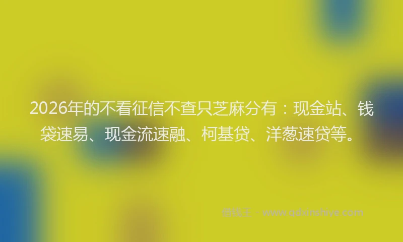2026年的不看征信不查只芝麻分有：现金站、钱袋速易、现金流速融、柯基贷、洋葱速贷等。