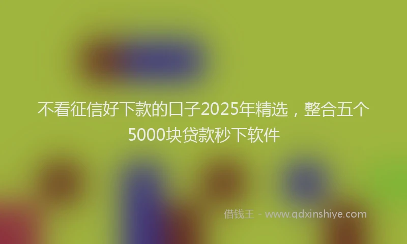 不看征信好下款的口子2025年精选，整合五个5000块贷款秒下软件