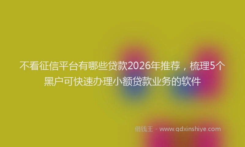 不看征信平台有哪些贷款2026年推荐，梳理5个黑户可快速办理小额贷款业务的软件