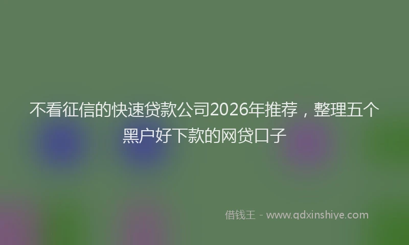 不看征信的快速贷款公司2026年推荐，整理五个黑户好下款的网贷口子