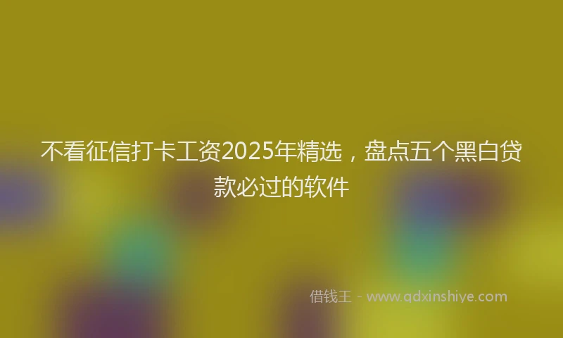 不看征信打卡工资2025年精选，盘点五个黑白贷款必过的软件